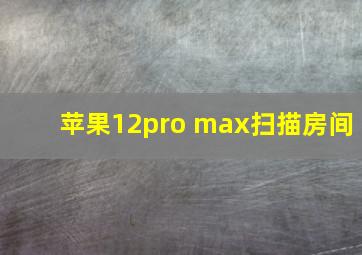 苹果12pro max扫描房间